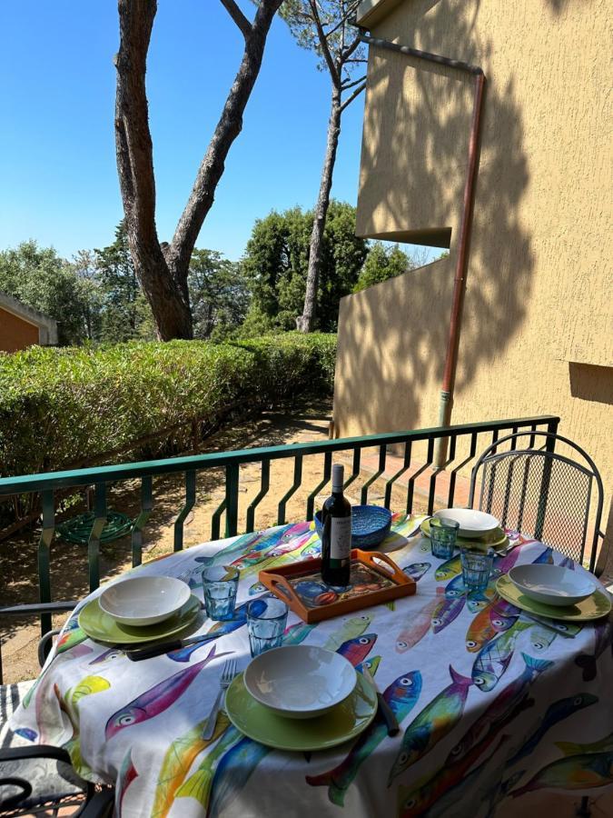 Apartment Portiglioni-belvedere *
