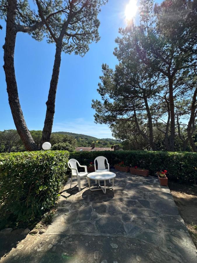 Apartment Portiglioni-belvedere